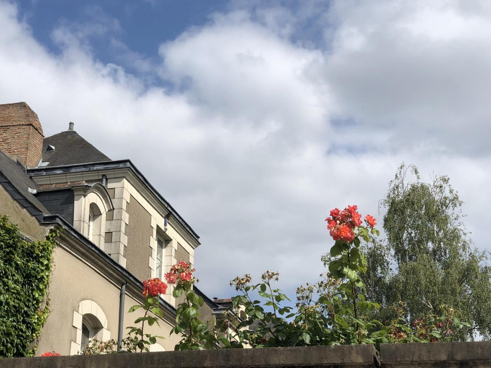 Maison Bout Du Monde Angers Hyper Centre 외부 사진