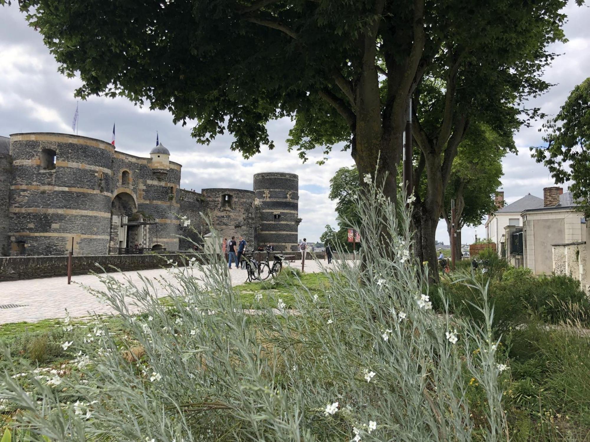 Maison Bout Du Monde Angers Hyper Centre 외부 사진